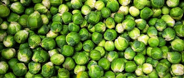 כרוב ניצנים