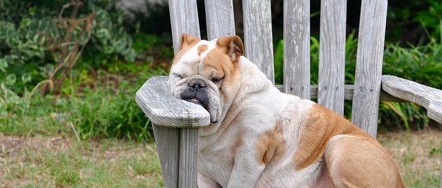 שינה והשמנה